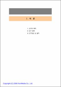 청소년 정보화 정책 개선방안 연구
