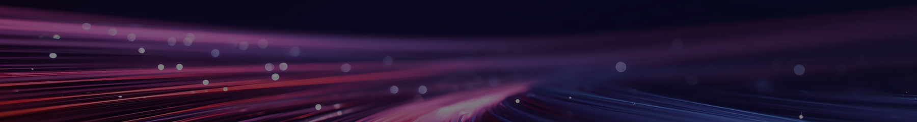 청년통계 비주얼