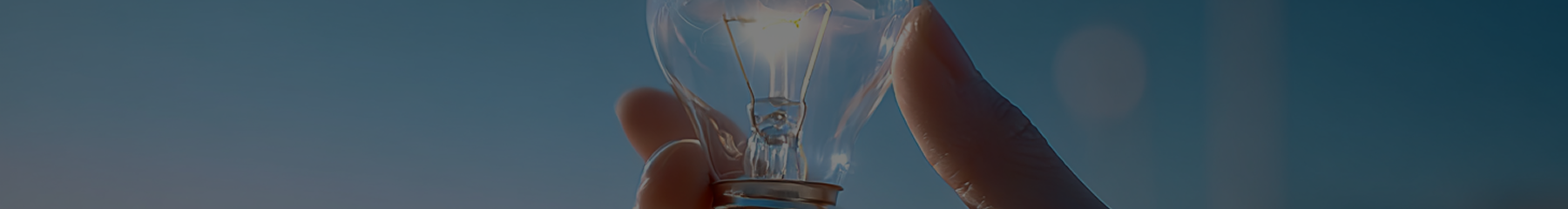 청년 Focus 비주얼